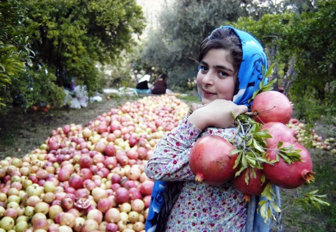 جامعه محلی ژئوپارک جهانی یونسکو ارس