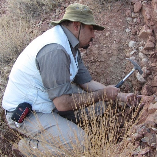 نامگذاری یک گونه فسیلی جدید ژئوپارک جهانی یونسکو ارس به افتخار هادی چوپان
